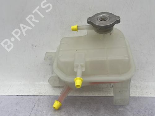 Used Expansion tank DACIA SPRING EV (B6M1) (45 hp) 23751158