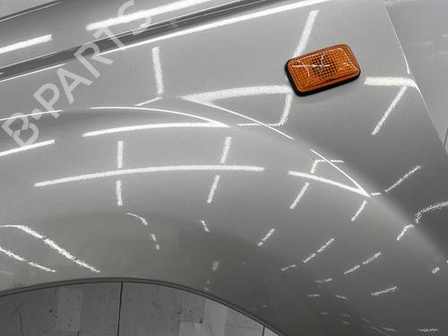 Left front fenders NISSAN X-TRAIL I (T30)  | BP24616794C41 
