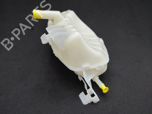 Expansion tank RENAULT KANGOO Express (FW0/1_) 1.5 dCi 80 (FW15) | BP23845291C120 