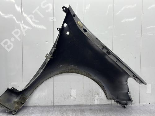 Left front fenders RENAULT CLIO III (BR0/1, CR0/1) 1.5 dCi (BR17, CR17) | BP29634701C41