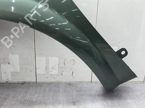 Left front fenders RENAULT MEGANE II (BM0/1_, CM0/1_) 1.6 16V (BM0C, CM0C) | BP25006484C41 