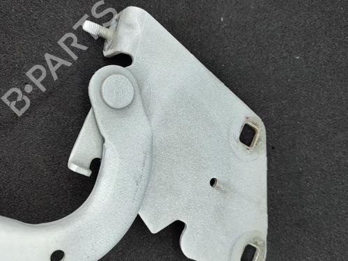 Used Hinge/Door check strap RENAULT MEGANE III Grandtour (KZ0/1) 1.5 dCi (KZ09, KZ0D, KZ1G, KZ29, KZ14, KZ1W, KZ10, KZ1F,... (110 hp) 23741757