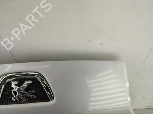 Hood PEUGEOT BIPPER Tepee 1.4 HDi | BP23728568C1 