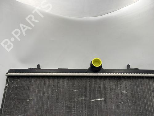 Water radiator CITROËN C4 II (NC_) 1.6 BlueHDi 120 | BP32441019M31