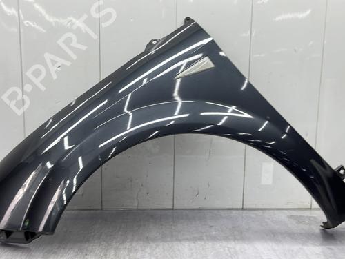 Left front fenders RENAULT SCÉNIC II (JM0/1_) 1.5 dCi (JM1E, JM16) | BP23682019C41 