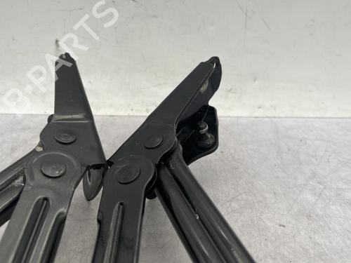 Dørhængsel/Dørbegrænser VW PHAETON (3D1, 3D2, 3D3, 3D4, 3D6, 3D7, 3D8, 3D9) 3.0 V6 TDI 4motion | BP30875994C146