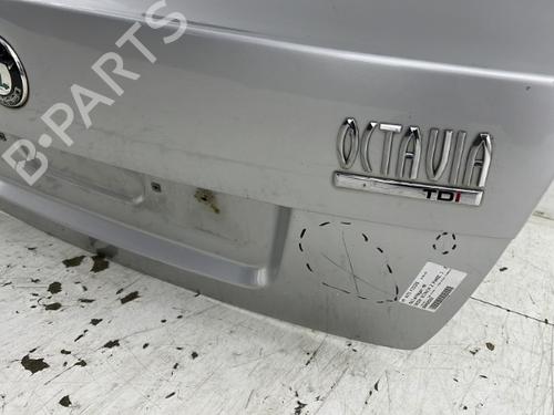 Bakluke CC/Kombi-Kupé SKODA OCTAVIA II (1Z3) 2.0 TDI 16V | BP23752478C6 