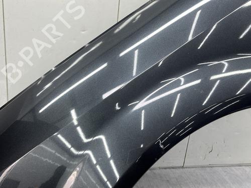 Left front fenders RENAULT SCÉNIC II (JM0/1_) 1.5 dCi (JM1E, JM16) | BP23682019C41 