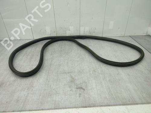 Used Rubber door seal CITROËN DS4 (NX_) 1.6 HDi 115 (114 hp) 25977876