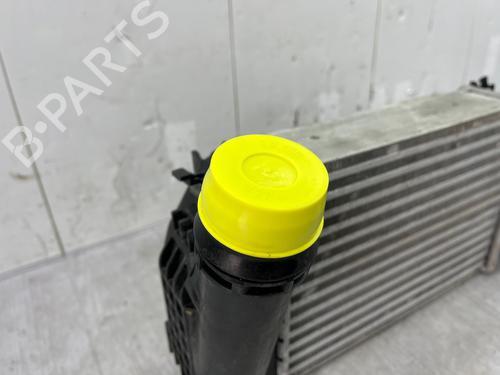 Intercooler NISSAN MICRA V (K14) 0.9 IG-T | BP33984227M30  - Image 7