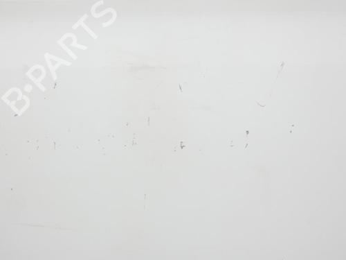Right front door NISSAN INTERSTAR Van (X70) dCI 90 | BP23699133C3 