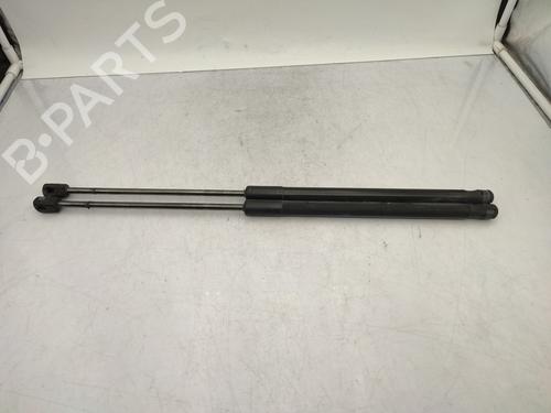Tailgate lift support DACIA SANDERO 1.5 dCi | BP25820262C138 - Image 6