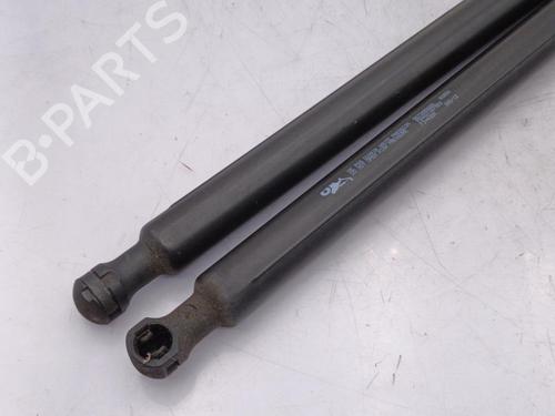 Tailgate lift support PEUGEOT 208 I (CA_, CC_) 1.6 HDi | BP23678373C138 