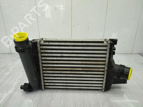 Intercooler DACIA SANDERO II TCe 90 (B8M1, B8MA, B8AC) | BP27999986M30  - Image 8