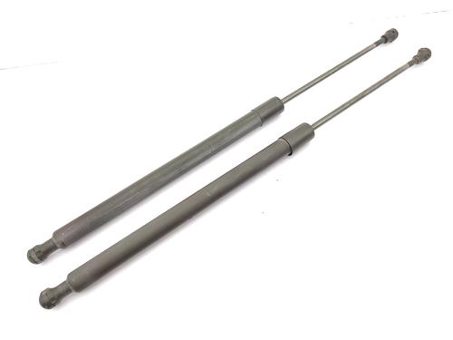 Used Tailgate lift support RENAULT SCÉNIC III (JZ0/1_) 1.9 dCi (JZ0J, JZ1J, JZ1K, JZ1S) (131 hp) 23680887