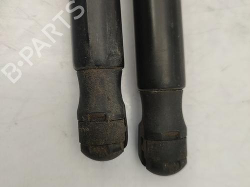 Tailgate lift support DACIA DUSTER (HS_) 1.5 dCi | BP25031193C138 