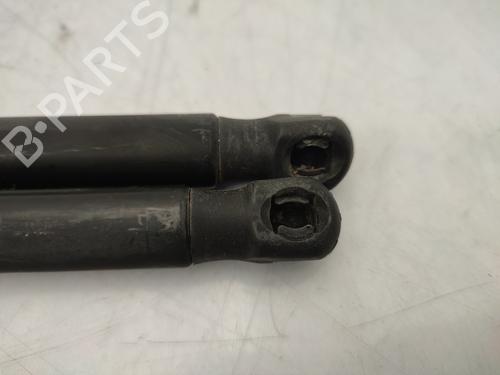 Tailgate lift support DACIA SANDERO 1.5 dCi | BP25820262C138