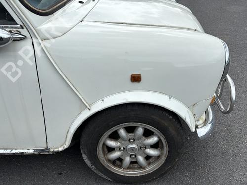 Bootlid window ROVER MINI Hatchback 1000 | BP26902992C64 