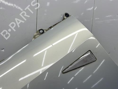 Left front fenders RENAULT SCÉNIC II (JM0/1_) 1.9 dCi (JM0G, JM12, JM1G, JM2C) | BP25997690C41 