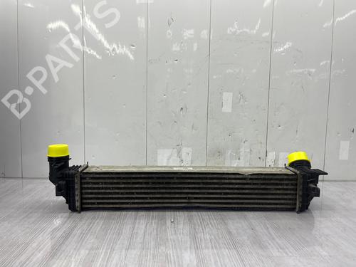 Intercooler Intercooler 38111669 38111669