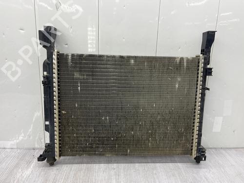 Water radiator RENAULT KANGOO Express (FW0/1_) | BP38425924M31 - Image 12