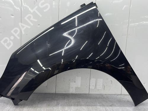 Used Left front fenders RENAULT SCÉNIC III (JZ0/1_) 1.9 dCi (JZ0J, JZ1J, JZ1K, JZ1S) (131 hp) 27304217