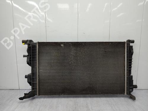 Køler RENAULT SCÉNIC III (JZ0/1_) 1.2 TCe | BP23741857M31 