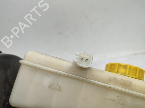 Servo brake JAGUAR S-TYPE II (X200) 4.2 V8 | BP29571473M42 