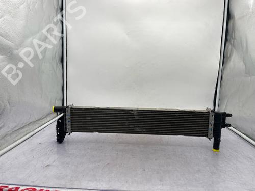 Water radiator DACIA DUSTER (HM_) 1.5 dCi 115 4x4 (HMAD) | BP36261301M31 - Image 4