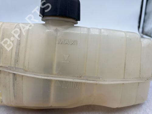 expansion-tank-renault-clio-iii-br01-cr01-2005-2006-2007-2008-2009-2010-2011-2012-2013-2014-38514804 main image