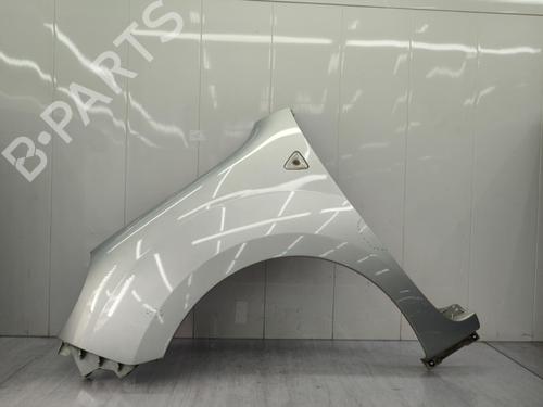 Left front fenders RENAULT KANGOO / GRAND KANGOO II (KW0/1_) 1.5 dCi 90 (KW05, KW08, KW0G, KW11) | BP23721199C41 