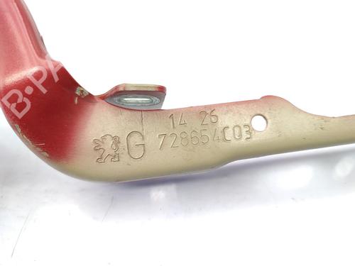 Hinge/Door check strap PEUGEOT 208 I (CA_, CC_) 1.6 VTi | BP23749706C146