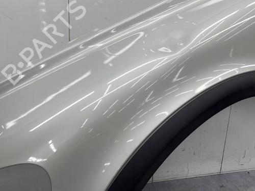 Left front fenders VOLVO C30 (533) 1.6 D | BP23751875C41 