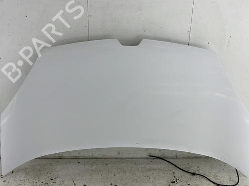 Used Hood RENAULT KANGOO Express (FW0/1_) 1.5 dCi 90 (FW0G, FW05, FW08, FW11) (90 hp) 28209530