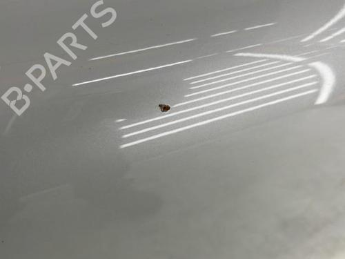 Left front door VOLVO C30 (533) 1.6 D | BP23751885C2 