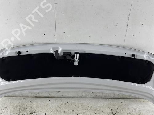 Hood PEUGEOT EXPERT Van (V_) 2.0 BlueHDi 145 | BP32062041C1 