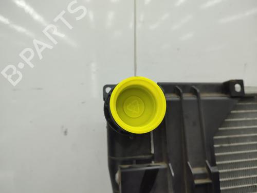 Water radiator BMW X3 (E83) 2.0 d | BP23739386M31 - Image 8