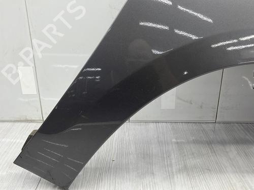Right front fenders RENAULT SCÉNIC III (JZ0/1_) 1.5 dCi | BP27884117C42 