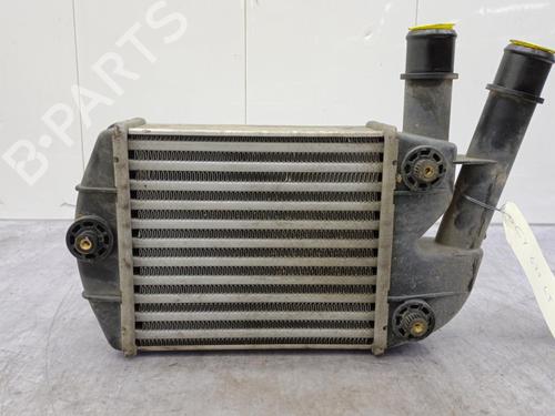 Intercooler FIAT PANDA (169_) 1.3 D Multijet (169.AXC1A) | BP23675845M30 