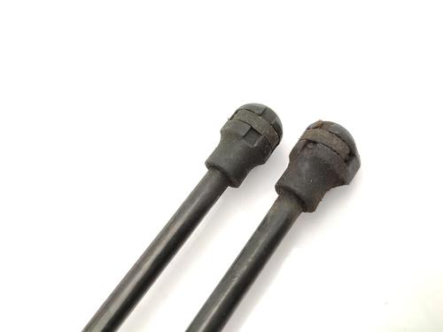 Hood lift support RENAULT KANGOO / GRAND KANGOO II (KW0/1_) 1.5 dCi 90 (KW05, KW08, KW0G, KW11) | BP23760748C139 