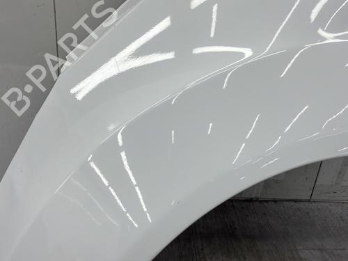 Left front fenders FORD FIESTA VI (CB1, CCN) 1.0 EcoBoost | BP25997712C41 