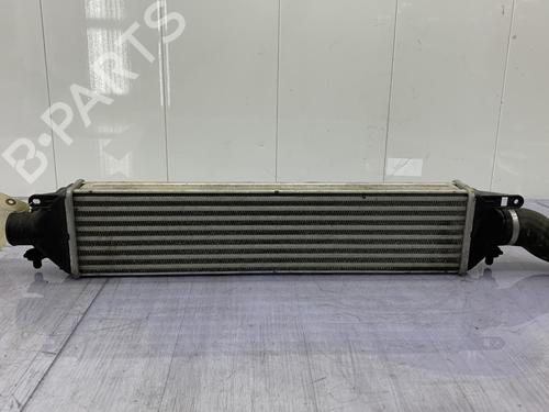 Intercooler FIAT GRANDE PUNTO (199_) 1.9 D Multijet | BP23702183M30 