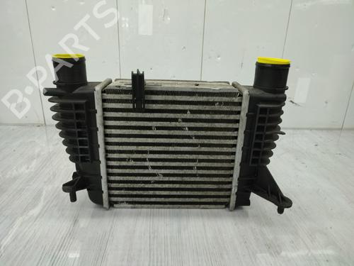 Used Intercooler RENAULT CLIO III (BR0/1, CR0/1) 1.5 dCi (C/BR0G, C/BR1G) (68 hp) 27999985