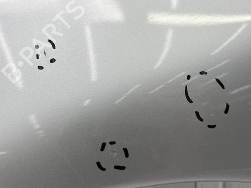 Left front fenders PEUGEOT 206 Hatchback (2A/C) 1.4 HDi eco 70 | BP28110267C41 