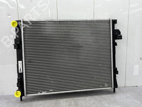 Water radiator RENAULT TRAFIC II Van (FL) 1.9 dCi 80 (FL0B) | BP33969324M31  - Image 8
