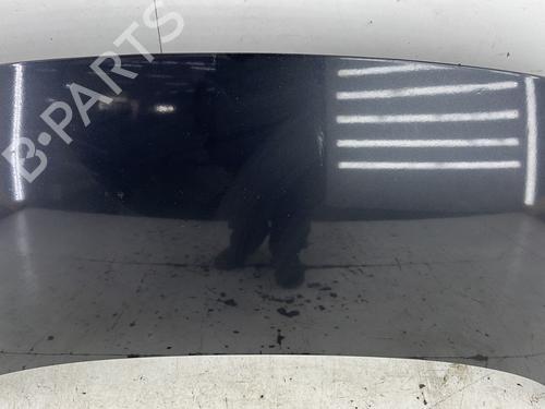 Hood RENAULT SCÉNIC III (JZ0/1_) 1.9 dCi (JZ0J, JZ1J, JZ1K, JZ1S) | BP25027940C1