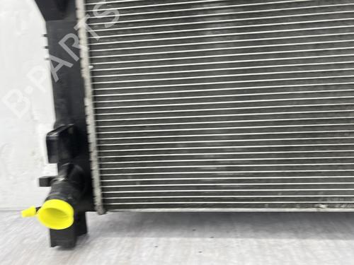 Water radiator DACIA SANDERO II 1.2 | BP30902426M31  - Image 8