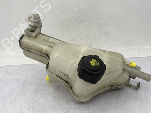 Ekpansionstank NISSAN JUKE (F15) 1.5 dCi (110 hp) 31039583
