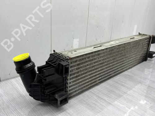 Used Intercooler Intercooler FIAT TALENTO Van (296_) 1.6 D (145 hp) 23759122 23759122