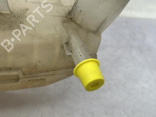Expansion tank RENAULT TWINGO II (CN0_) 1.2 16V (CN04, CN0B) | BP30974217C120 